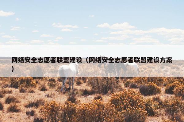 网络安全志愿者联盟建设（网络安全志愿者联盟建设方案）