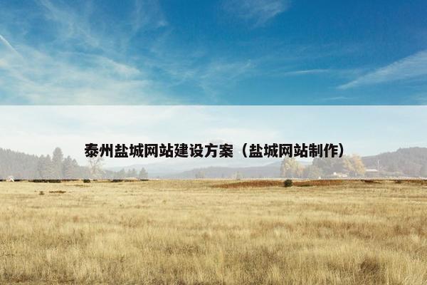 泰州盐城网站建设方案（盐城网站制作）