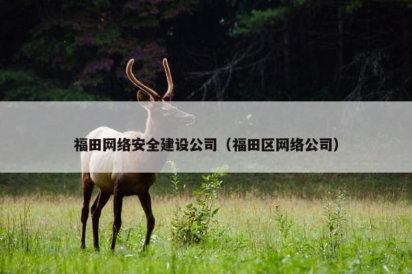 福田网络安全建设公司（福田区网络公司）