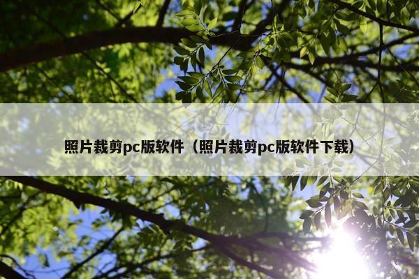 照片裁剪pc版软件（照片裁剪pc版软件下载）