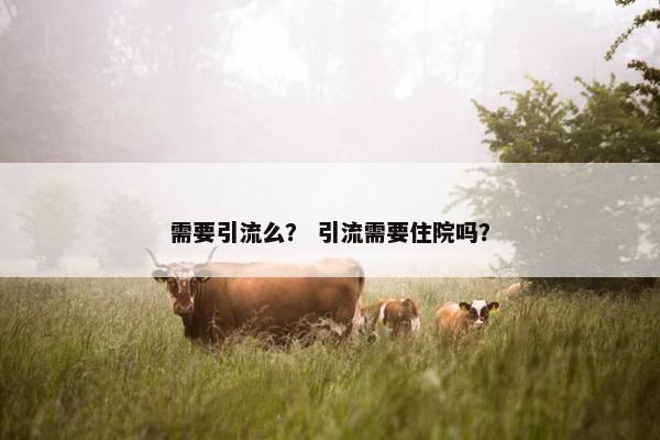 需要引流么？ 引流需要住院吗？