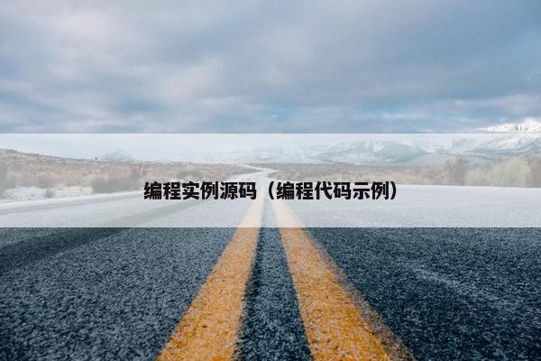 编程实例源码（编程代码示例）