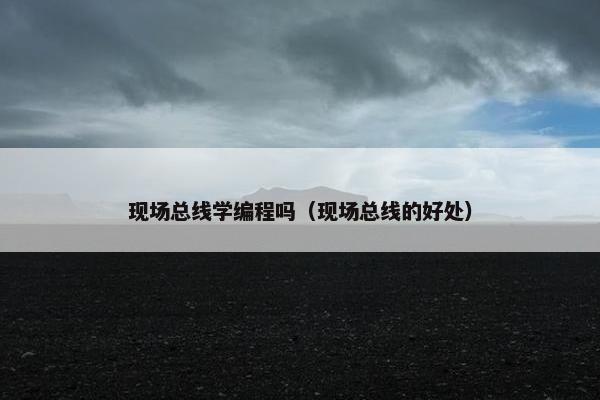 现场总线学编程吗（现场总线的好处）