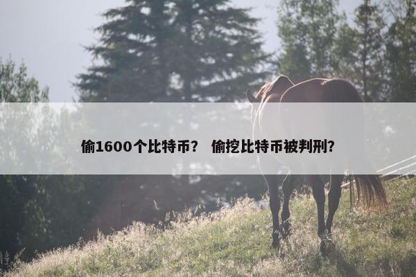偷1600个比特币？ 偷挖比特币被判刑？