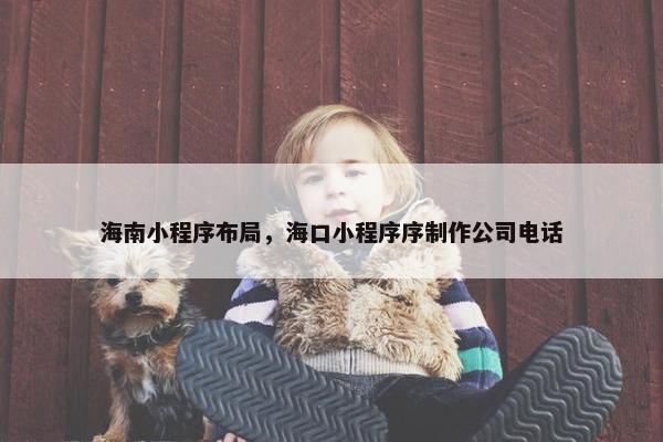 海南小程序布局，海口小程序序制作公司电话