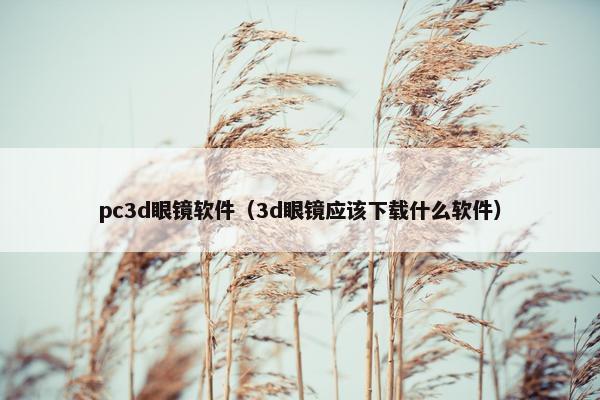 pc3d眼镜软件（3d眼镜应该下载什么软件）