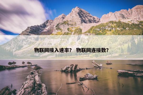 物联网接入速率？ 物联网连接数？