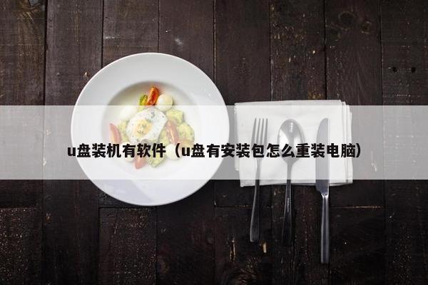 u盘装机有软件（u盘有安装包怎么重装电脑）