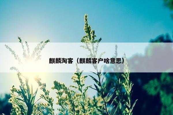 麒麟淘客（麒麟客户啥意思）