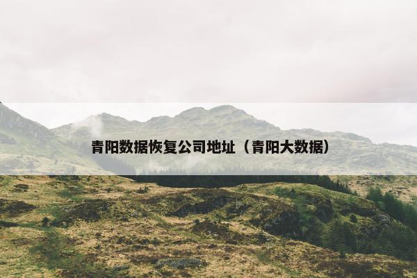 青阳数据恢复公司地址（青阳大数据）