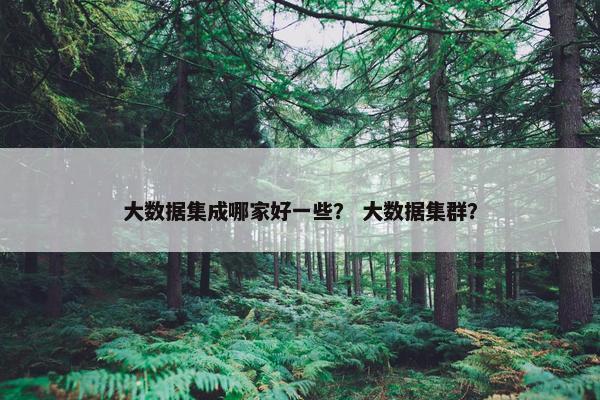 大数据集成哪家好一些？ 大数据集群？