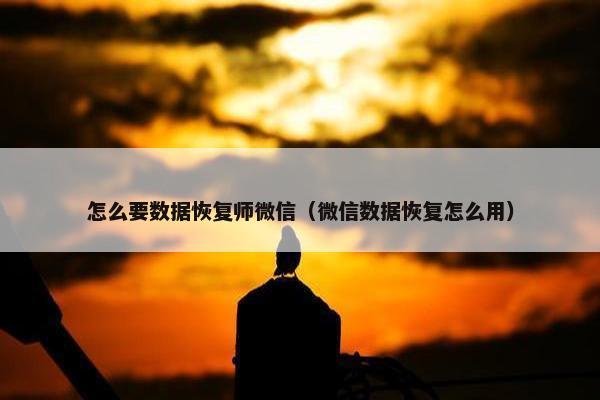 怎么要数据恢复师微信（微信数据恢复怎么用）