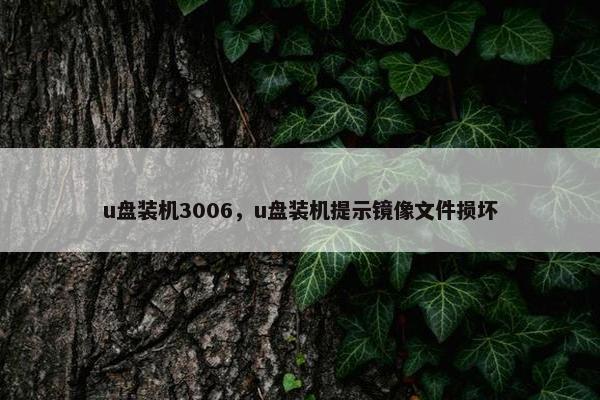 u盘装机3006，u盘装机提示镜像文件损坏