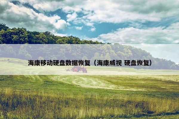 海康移动硬盘数据恢复（海康威视 硬盘恢复）