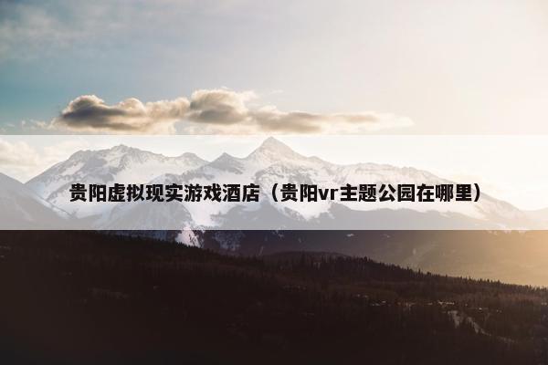 贵阳虚拟现实游戏酒店（贵阳vr主题公园在哪里）