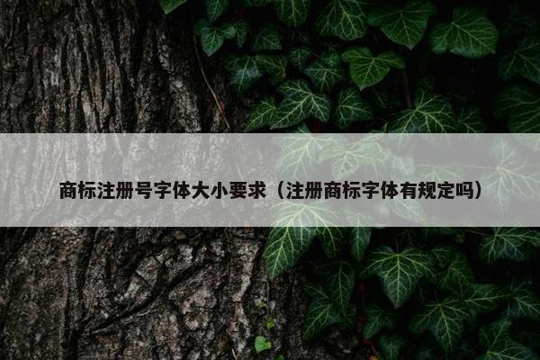 商标注册号字体大小要求（注册商标字体有规定吗）