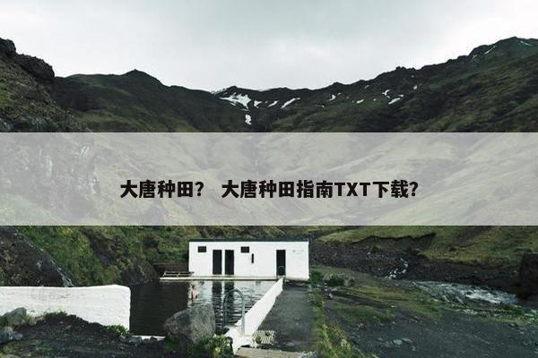 大唐种田？ 大唐种田指南TXT下载？