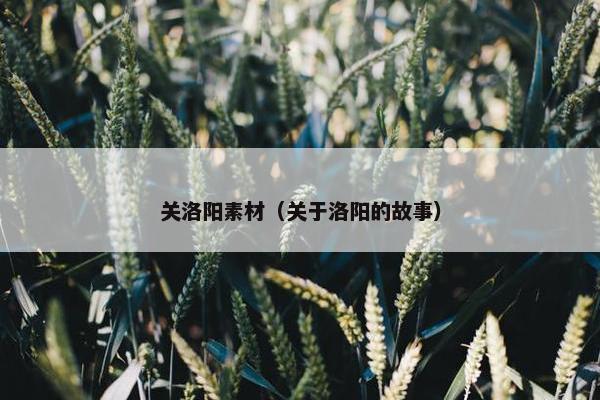 关洛阳素材（关于洛阳的故事）