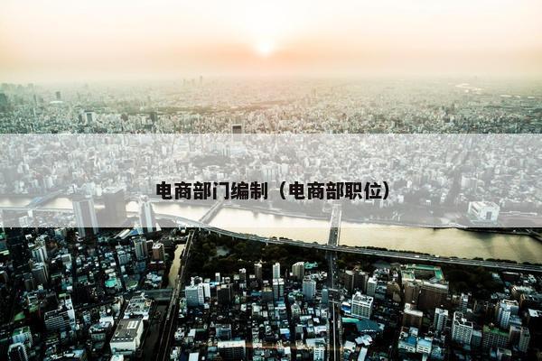 电商部门编制（电商部职位）