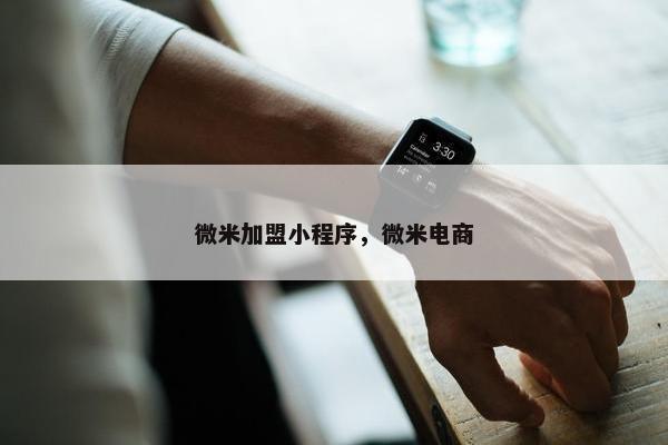 微米加盟小程序，微米电商