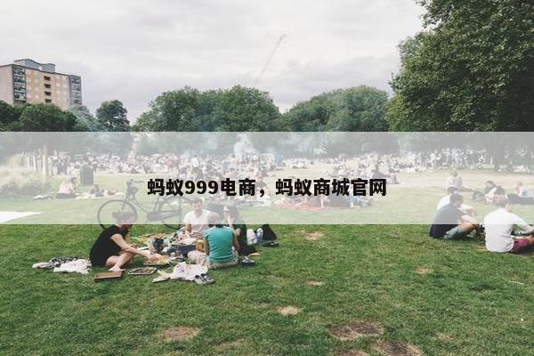 蚂蚁999电商，蚂蚁商城官网