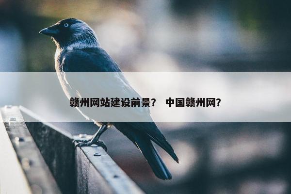 赣州网站建设前景？ 中国赣州网？