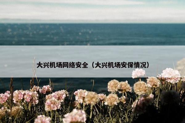 大兴机场网络安全（大兴机场安保情况）