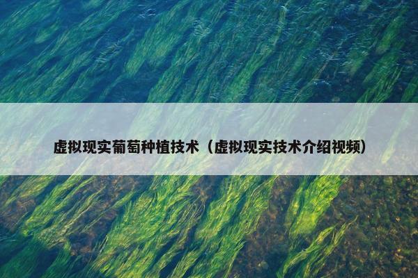 虚拟现实葡萄种植技术（虚拟现实技术介绍视频）