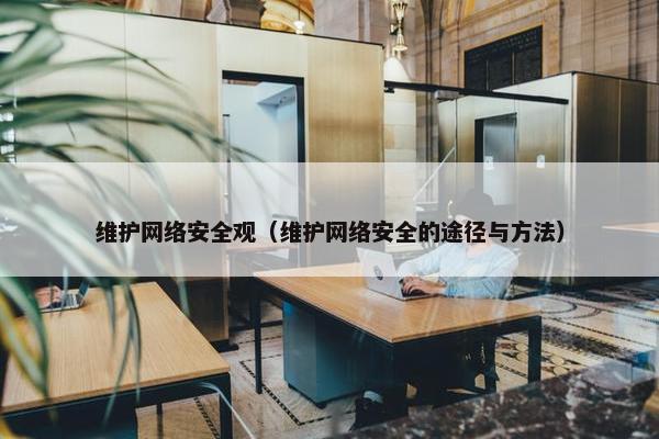 维护网络安全观（维护网络安全的途径与方法）