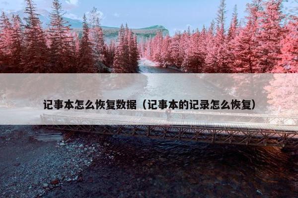 记事本怎么恢复数据（记事本的记录怎么恢复）