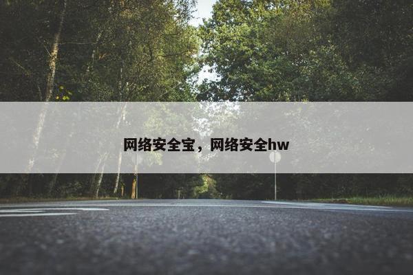 网络安全宝，网络安全hw