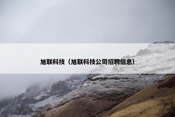 旭联科技（旭联科技公司招聘信息）