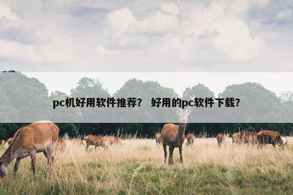 pc机好用软件推荐？ 好用的pc软件下载？