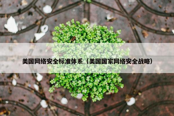 美国网络安全标准体系（美国国家网络安全战略）