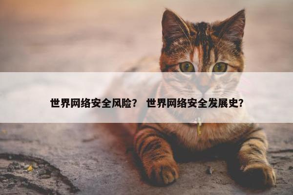 世界网络安全风险？ 世界网络安全发展史？
