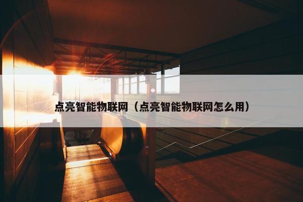 点亮智能物联网（点亮智能物联网怎么用）