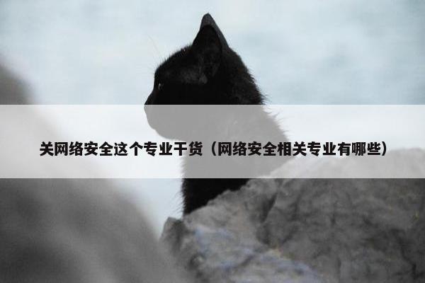 关网络安全这个专业干货（网络安全相关专业有哪些）