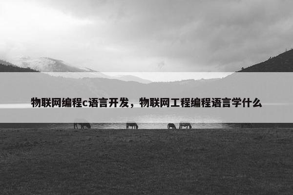 物联网编程c语言开发，物联网工程编程语言学什么