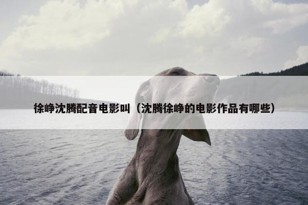 徐峥沈腾配音电影叫（沈腾徐峥的电影作品有哪些）