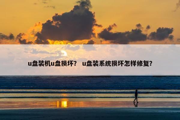 u盘装机u盘损坏？ u盘装系统损坏怎样修复？