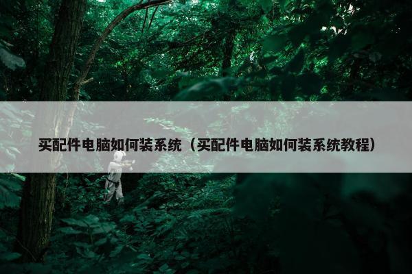 买配件电脑如何装系统（买配件电脑如何装系统教程）