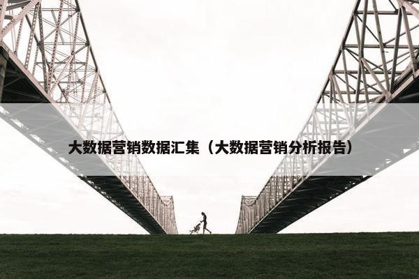 大数据营销数据汇集（大数据营销分析报告）