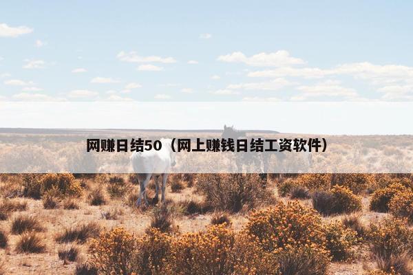 网赚日结50（网上赚钱日结工资软件）
