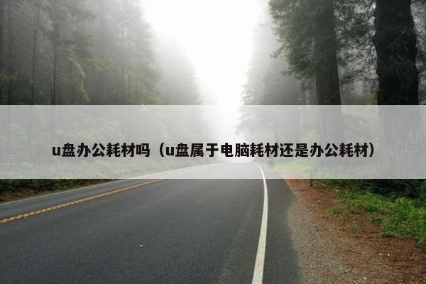u盘办公耗材吗（u盘属于电脑耗材还是办公耗材）