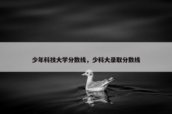 少年科技大学分数线，少科大录取分数线