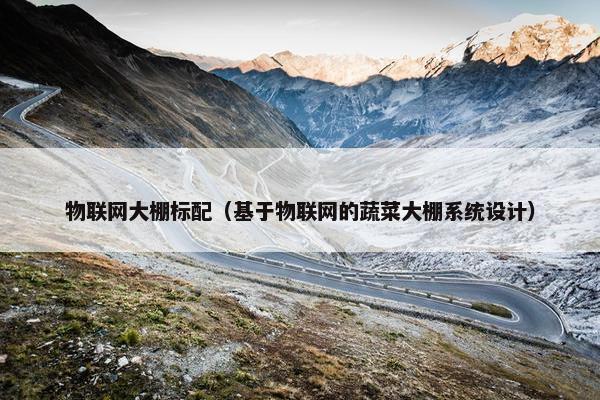 物联网大棚标配（基于物联网的蔬菜大棚系统设计）