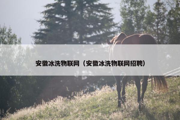 安徽冰洗物联网（安徽冰洗物联网招聘）
