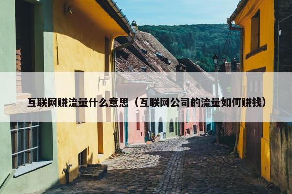 互联网赚流量什么意思（互联网公司的流量如何赚钱）