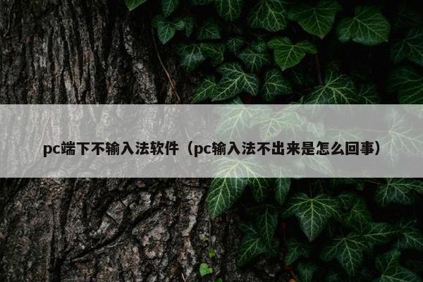 pc端下不输入法软件（pc输入法不出来是怎么回事）