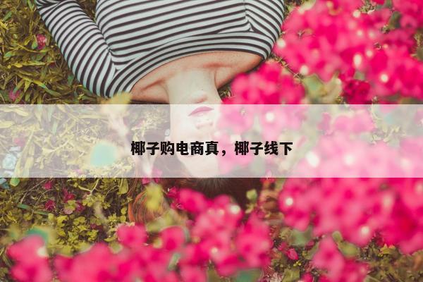 椰子购电商真，椰子线下